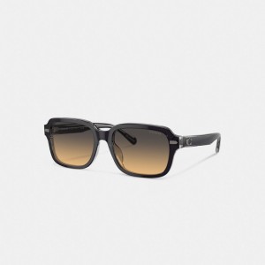Coach Beveled Signature Square Zonnebril Heren Donkergrijs | BE_CH34413