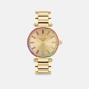 Coach Cary 34 Mm Horloge Dames Goud | BE_CH60712