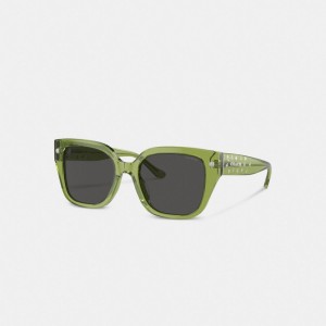 Coach Charms Oversized Square Zonnebril Dames Groen | BE_CH33566