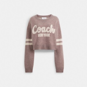 Coach Cropped Truien Dames Roze | BE_CH35309