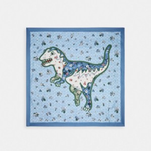 Coach Floral Print Rexy Silk Square Sjaal Dames Gekleurd | BE_CH45900