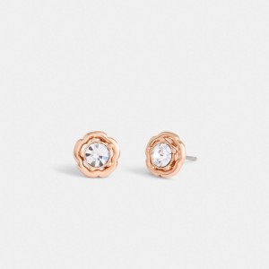 Coach Halo Tea Stud Oorbellen Dames Roze Goud | BE_CH79730