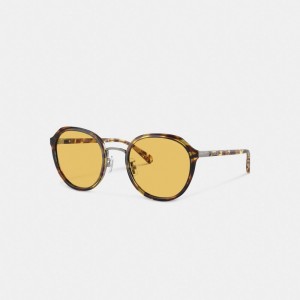 Coach Hangtag Geometric Round Honey Zonnebril Dames Oranje | BE_CH49904