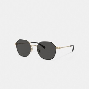 Coach Hinged Geometric Round Zonnebril Heren Goud Zwart | BE_CH84023
