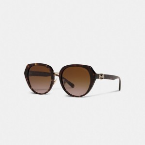 Coach Horse And Carriage Oversized Round Zonnebril Dames Zwart | BE_CH63589
