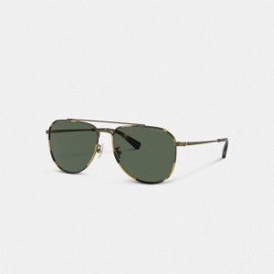 Coach Metal Windsor Pilot Zonnebril Heren Goud | BE_CH79620