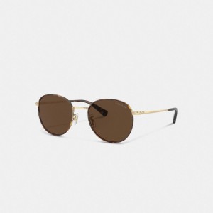 Coach Metal Windsor Round Zonnebril Heren Bruin Goud | BE_CH97893