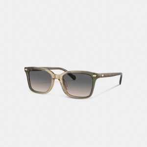 Coach Narrow Square Zonnebril Heren Groen Bruin | BE_CH83933