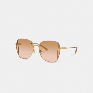Coach Oversized Butterfly Peach Blush Zonnebril Dames Koraal Roze | BE_CH56588