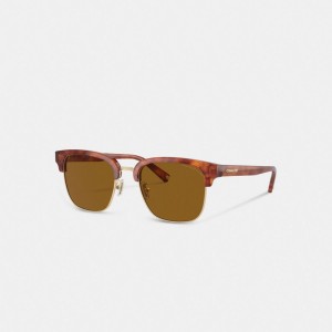 Coach Retro Zonnebril Heren Bruin | BE_CH38951