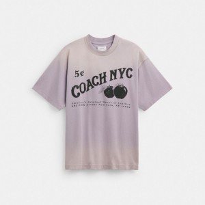 Coach Signature Apple T-shirts Heren Paars | BE_CH84263
