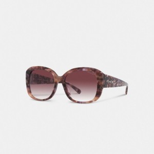 Coach Signature Oversized Square Zonnebril Dames Paars | BE_CH16258