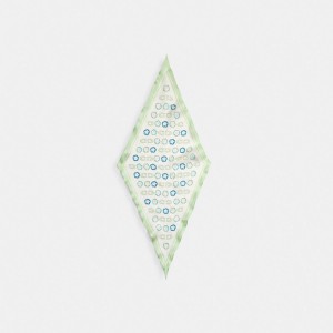 Coach Tea Print Silk Diamond Pale Pistachio Sjaal Dames Roze | BE_CH19704