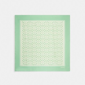 Coach Vintage Signature Print Silk Square Pale Pistachio Sjaal Dames Groen | BE_CH23842