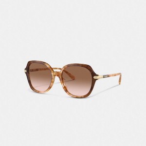 Coach Wrap Around Hangtag Oversized Geometric Round Honey Zonnebril Dames Oranje | BE_CH39616