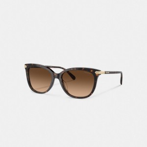 Coach Wrap Around Hangtag Square Zonnebril Dames Bruin | BE_CH71039