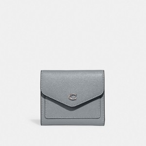 Coach Wyn Leather Kleine Portefeuille Dames Grijs Blauw | BE_CH19465